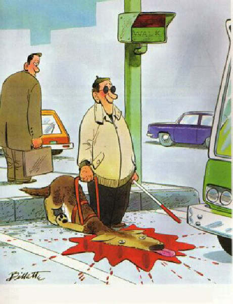 chien d aveugle-humourenvrac